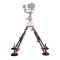  ASXmov Suction Cup Mount